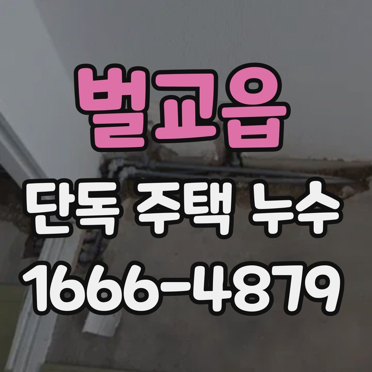 벌교읍 단독 주택 누수 의심 구간별 점검 방법