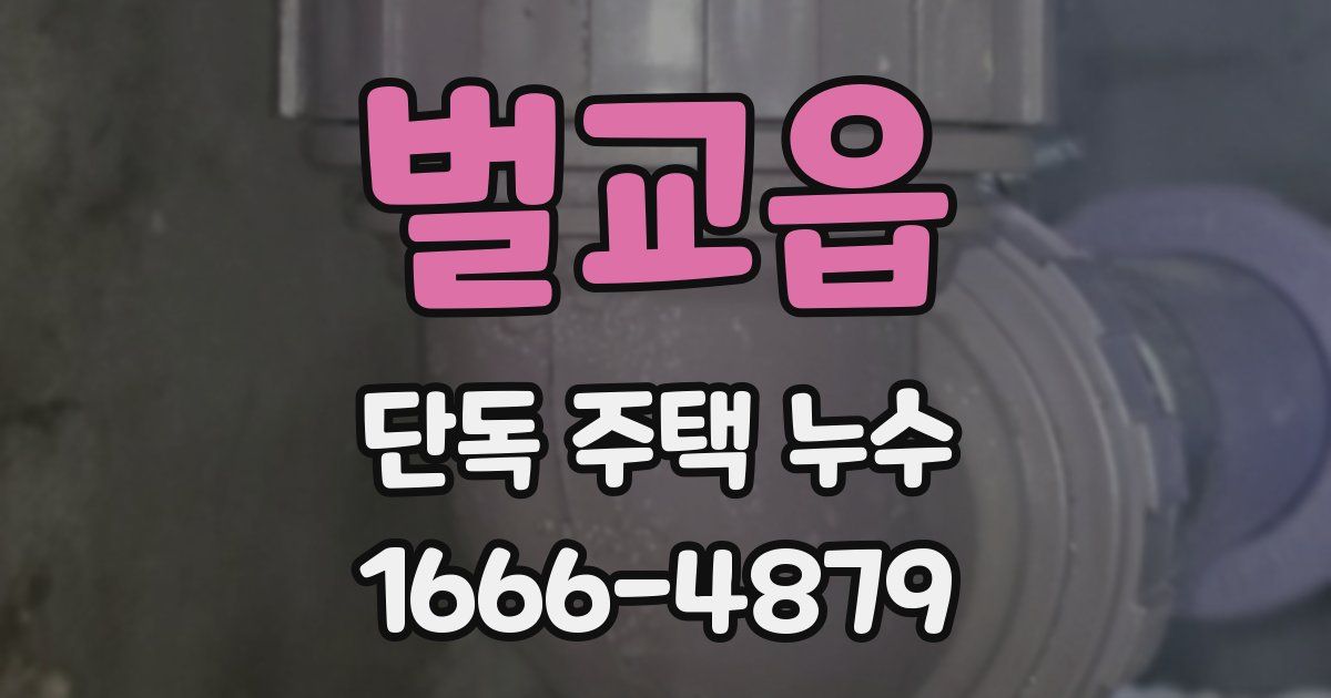 벌교읍 단독 주택 누수