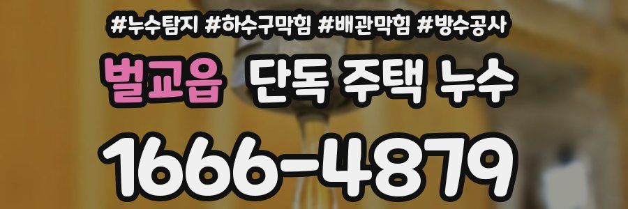 벌교읍 단독 주택 누수