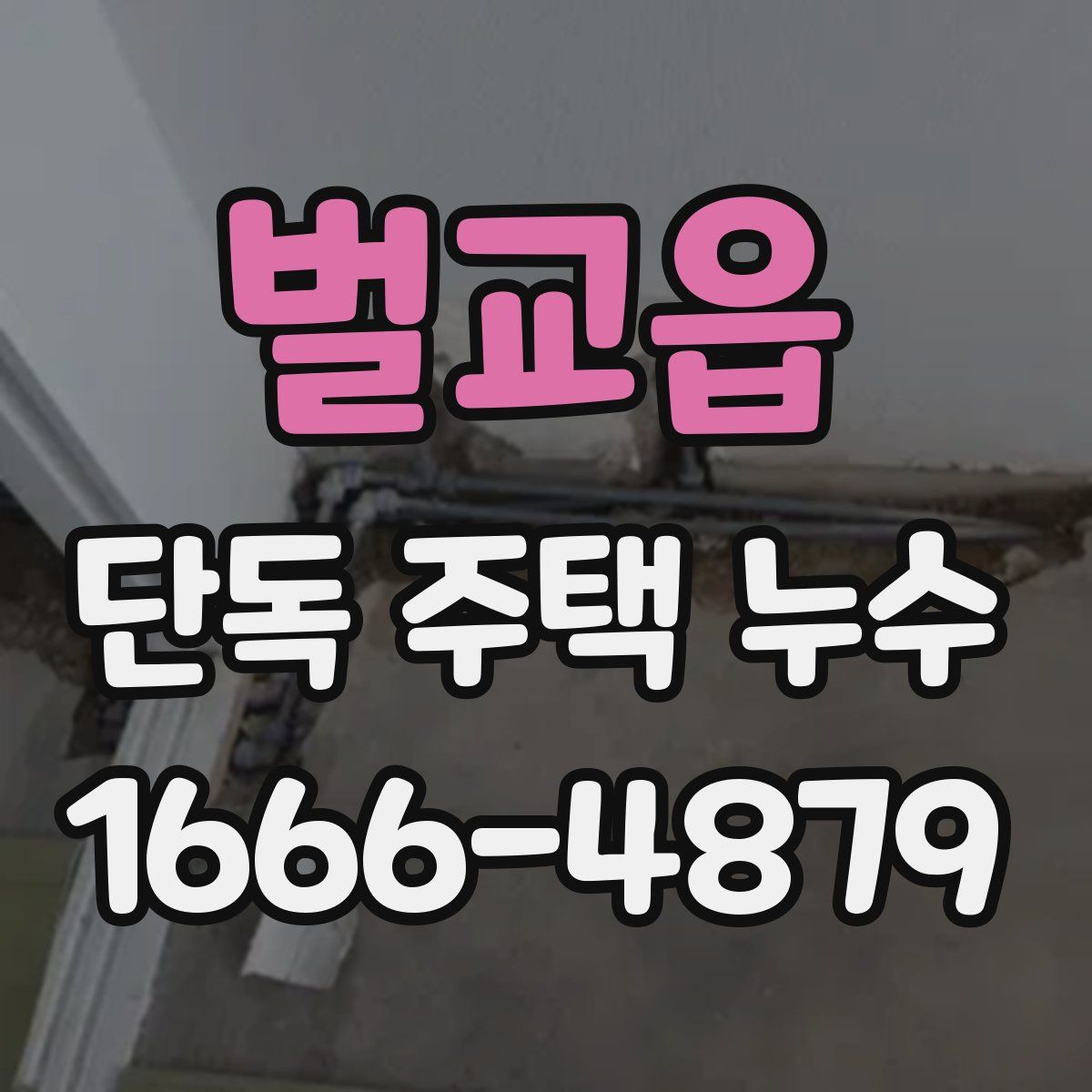벌교읍 단독 주택 누수
