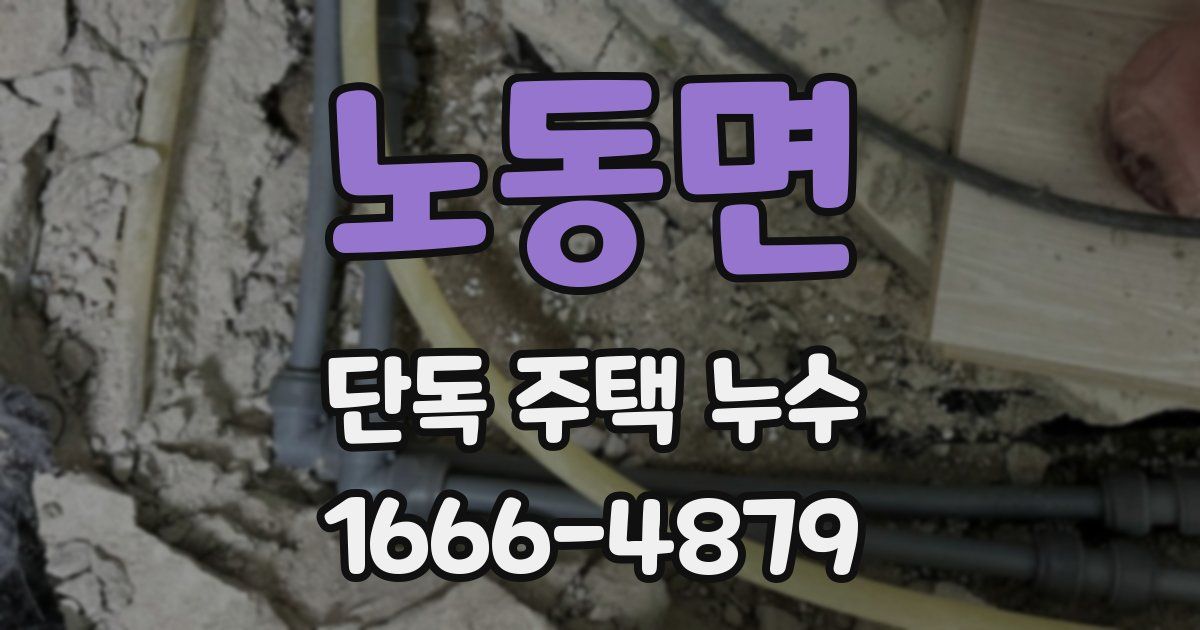 노동면 단독 주택 누수