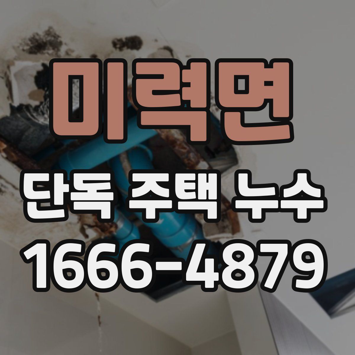 미력면 단독 주택 누수