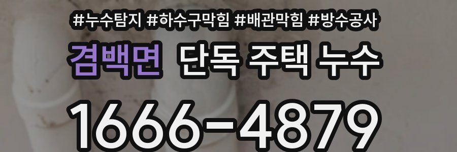 겸백면 단독 주택 누수