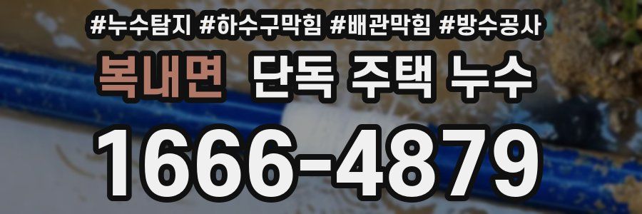 복내면 단독 주택 누수