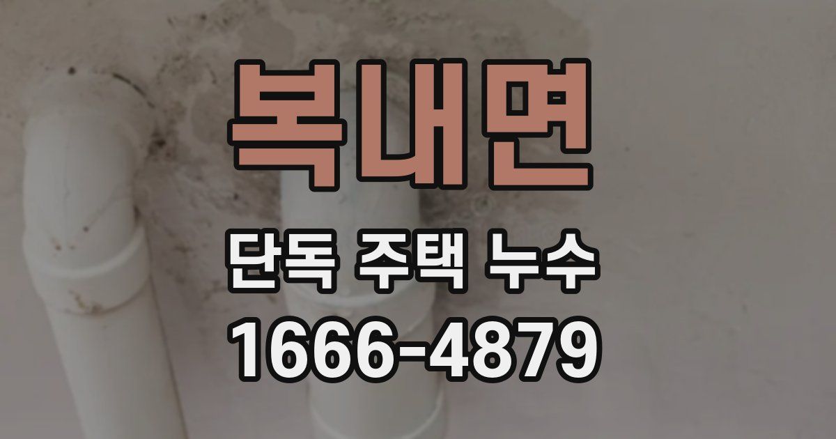 복내면 단독 주택 누수