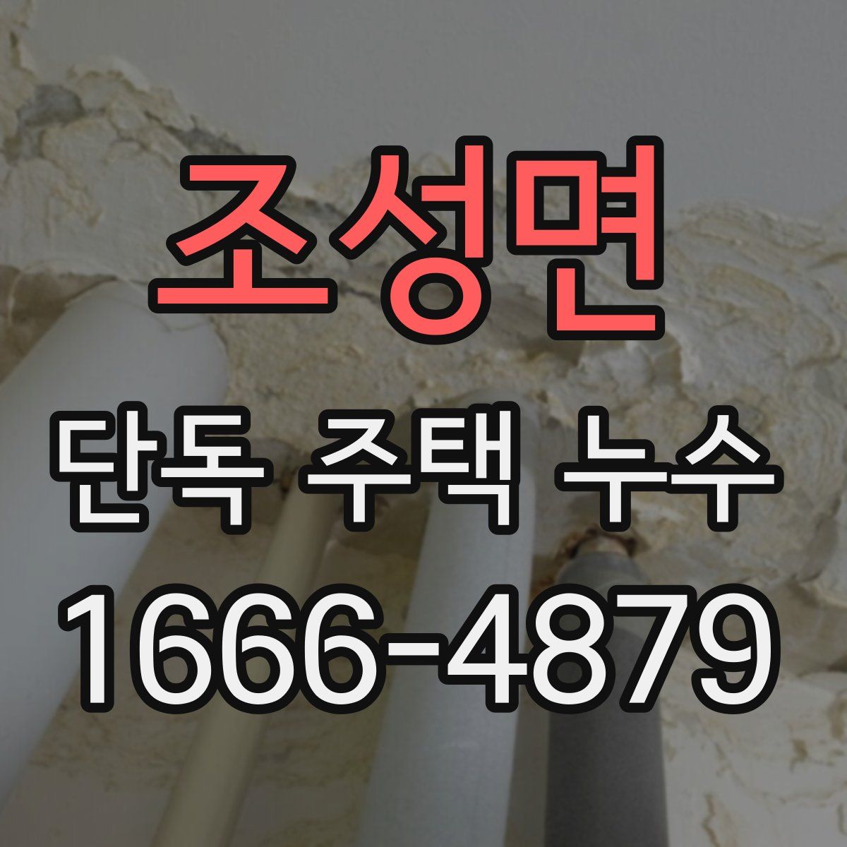 조성면 단독 주택 누수
