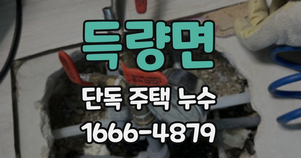 득량면 단독 주택 누수