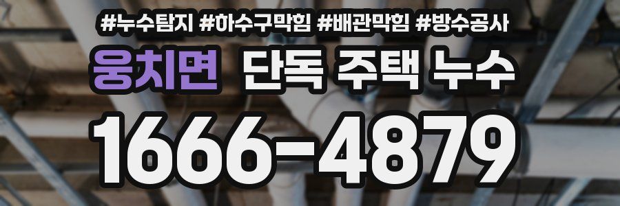 웅치면 단독 주택 누수