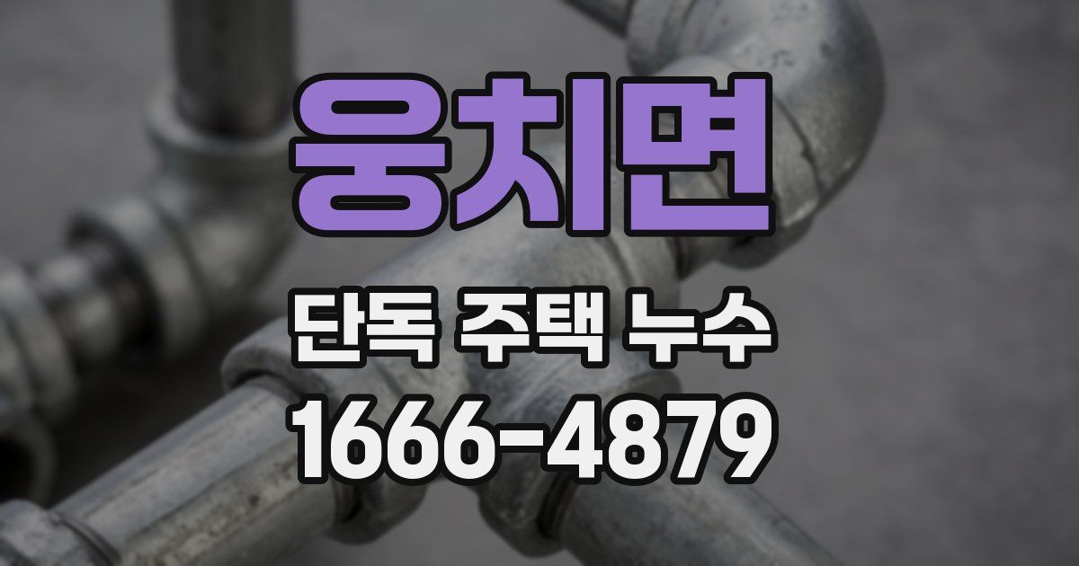 웅치면 단독 주택 누수