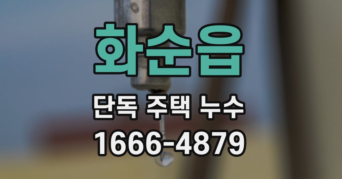 화순읍 단독 주택 누수
