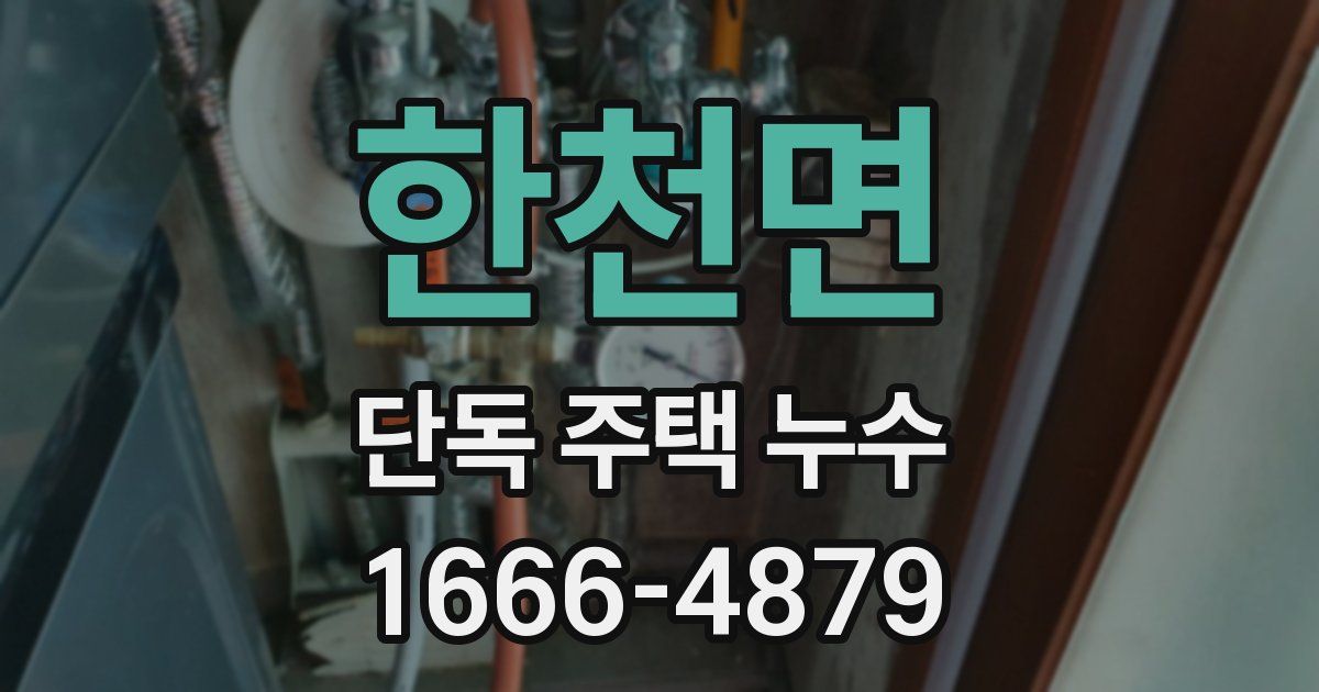 한천면 단독 주택 누수