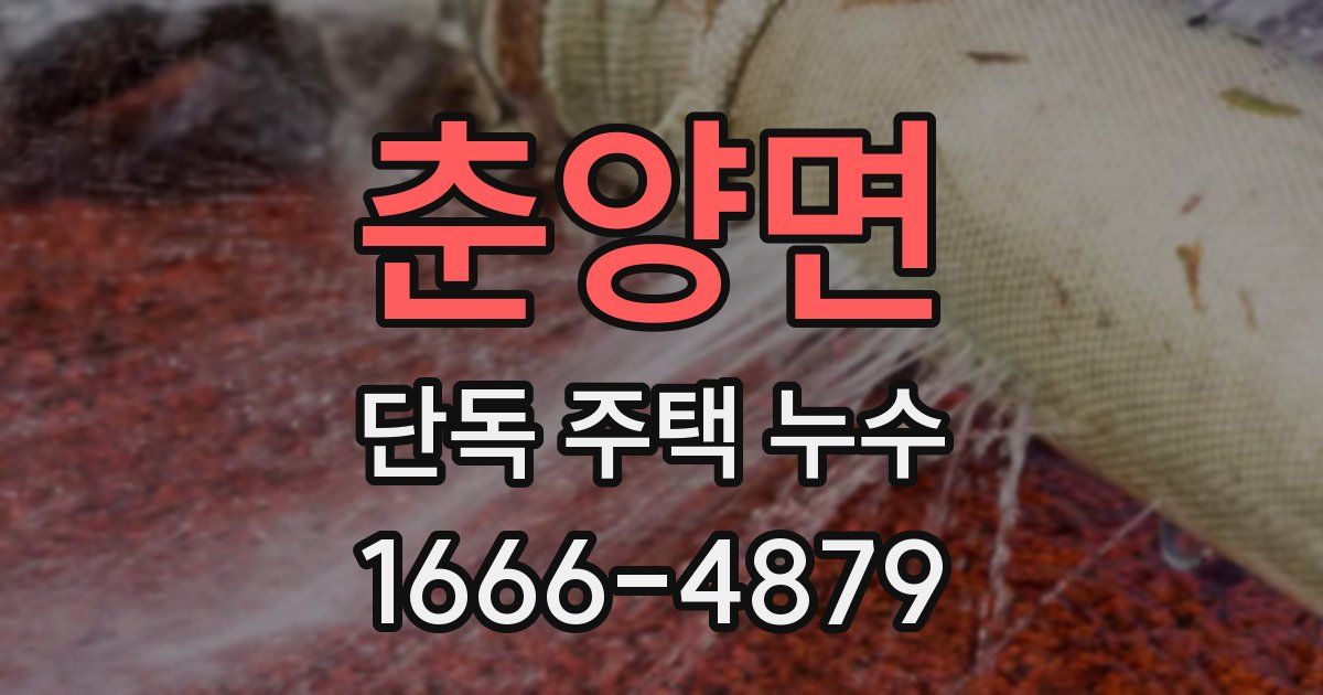 춘양면 단독 주택 누수