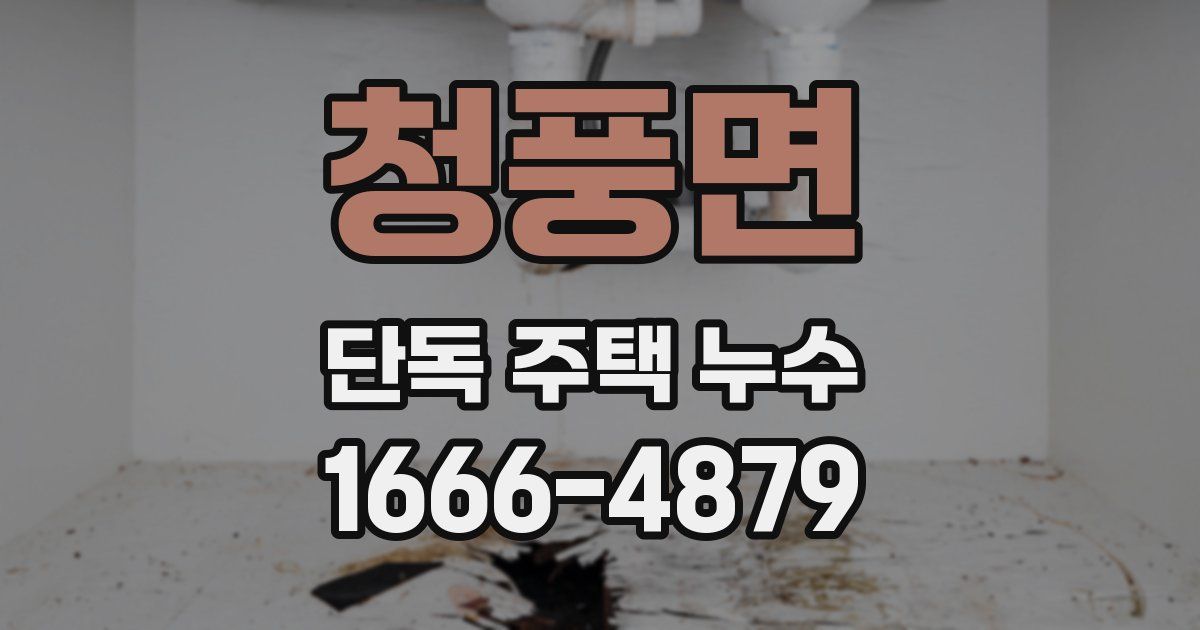 청풍면 단독 주택 누수