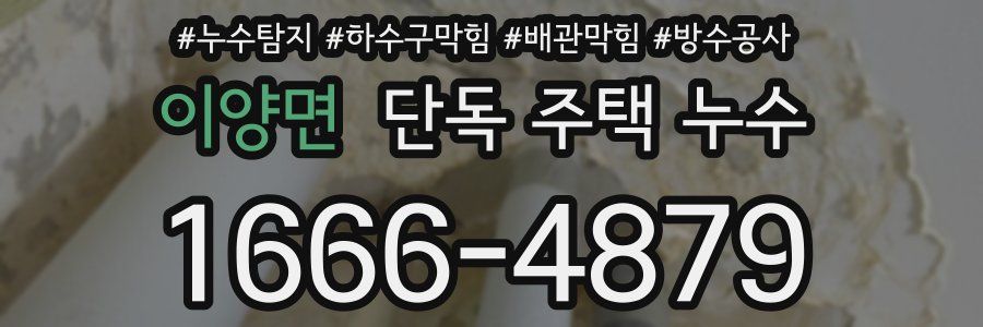 이양면 단독 주택 누수