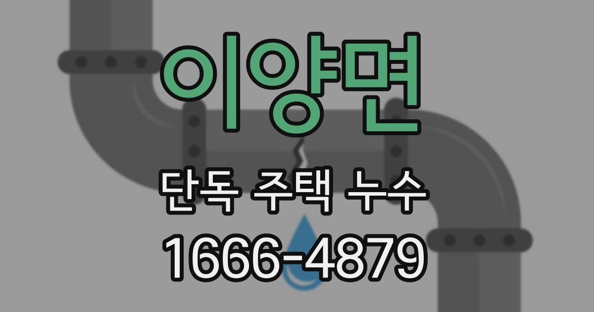 이양면 단독 주택 누수
