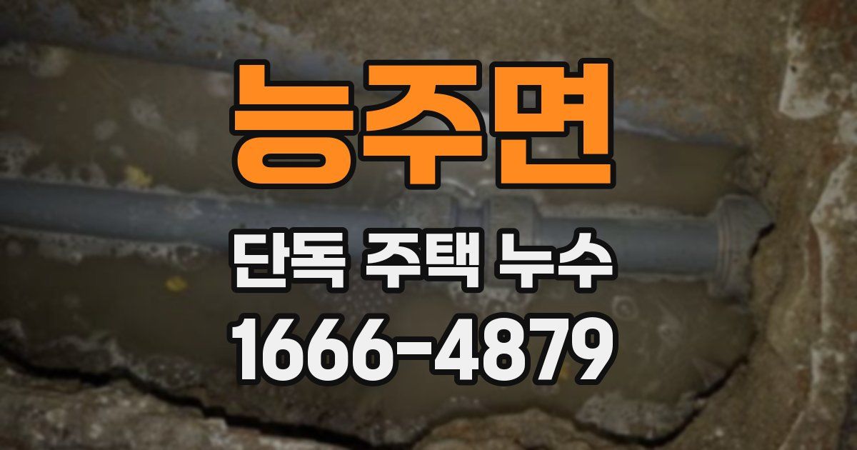 능주면 단독 주택 누수