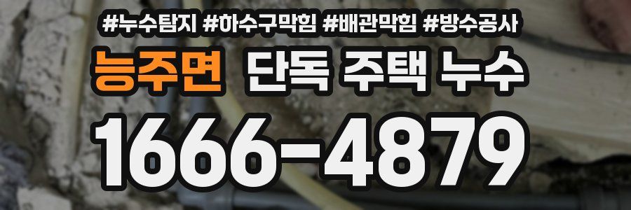 능주면 단독 주택 누수