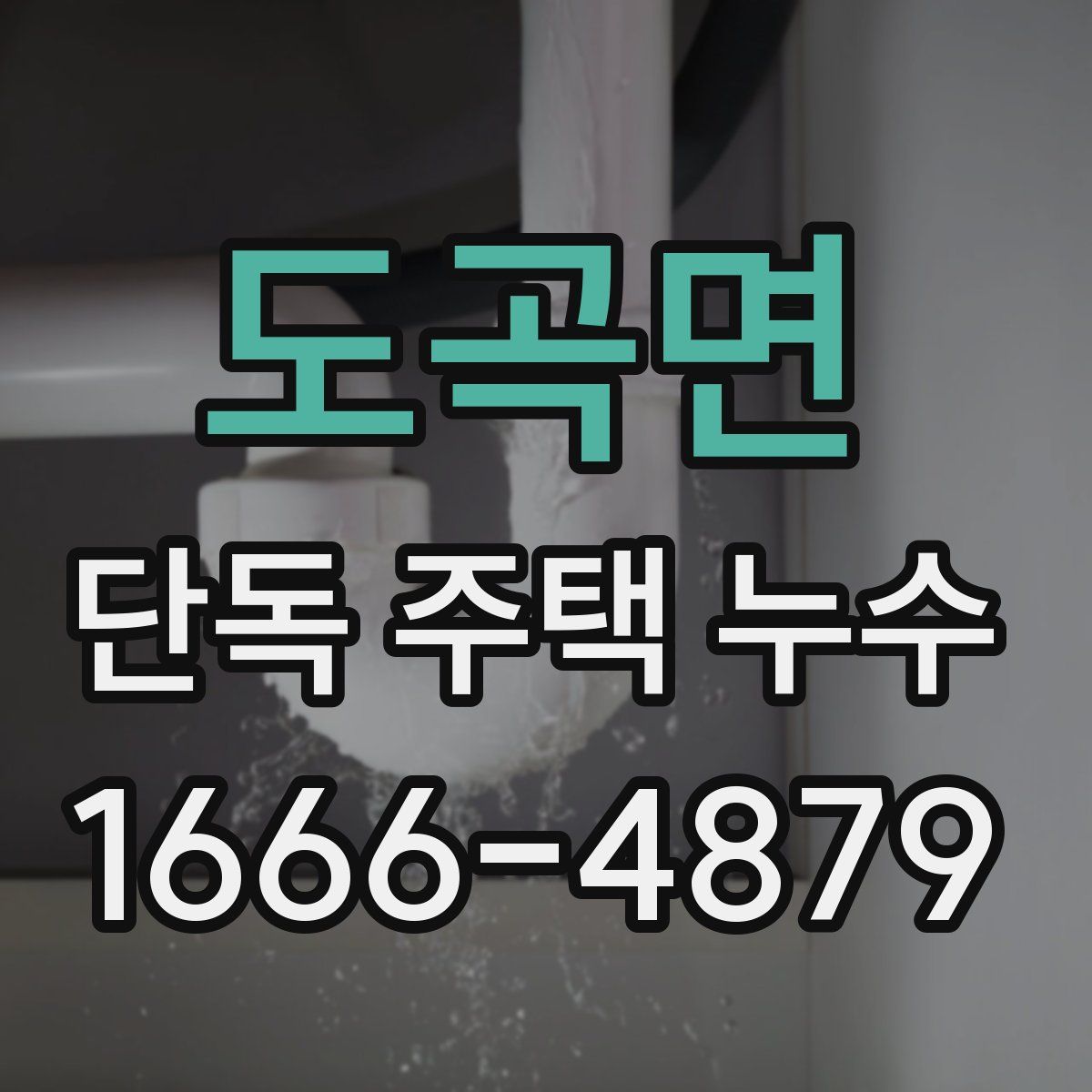 도곡면 단독 주택 누수