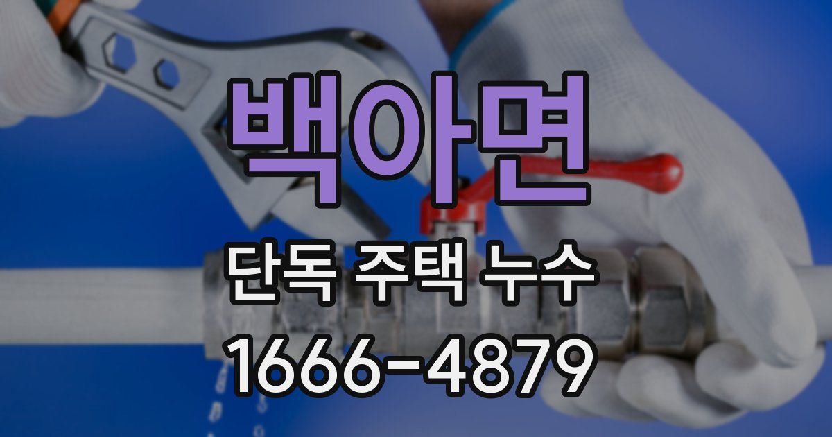 백아면 단독 주택 누수