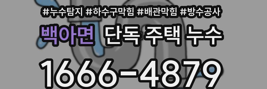 백아면 단독 주택 누수