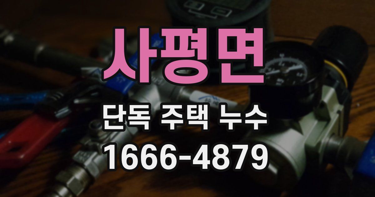 사평면 단독 주택 누수
