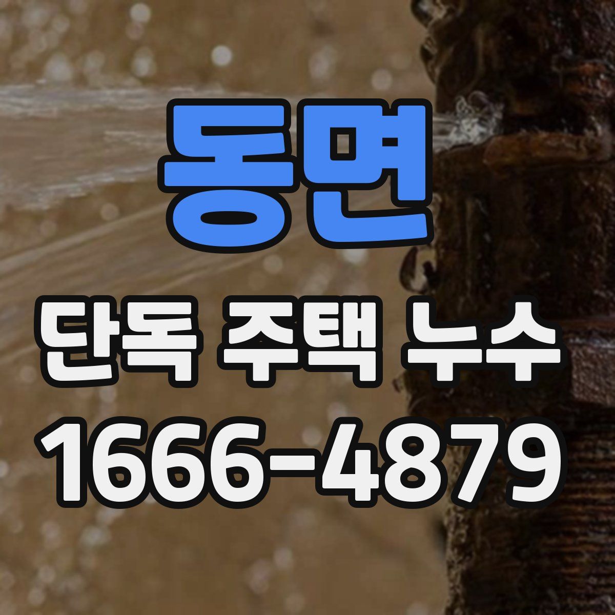 동면 단독 주택 누수