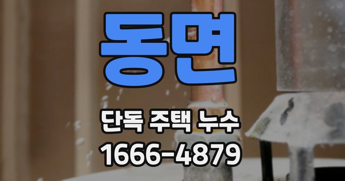 동면 단독 주택 누수