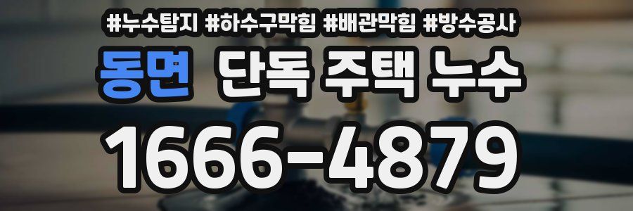 동면 단독 주택 누수
