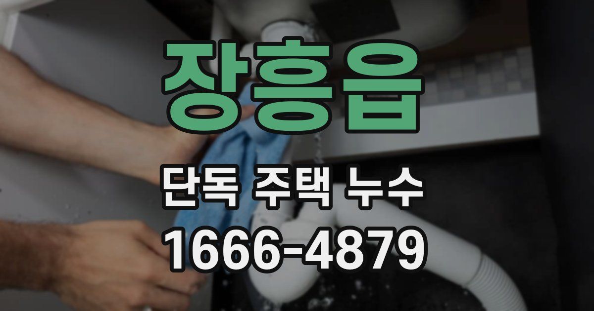 장흥읍 단독 주택 누수