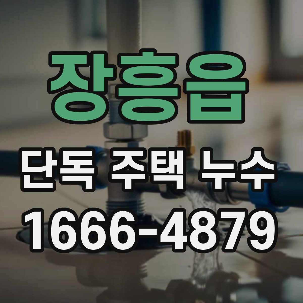 장흥읍 단독 주택 누수