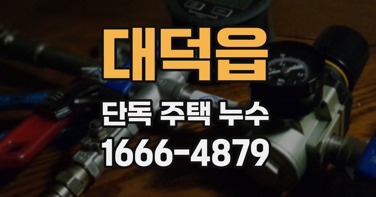 대덕읍 단독 주택 누수