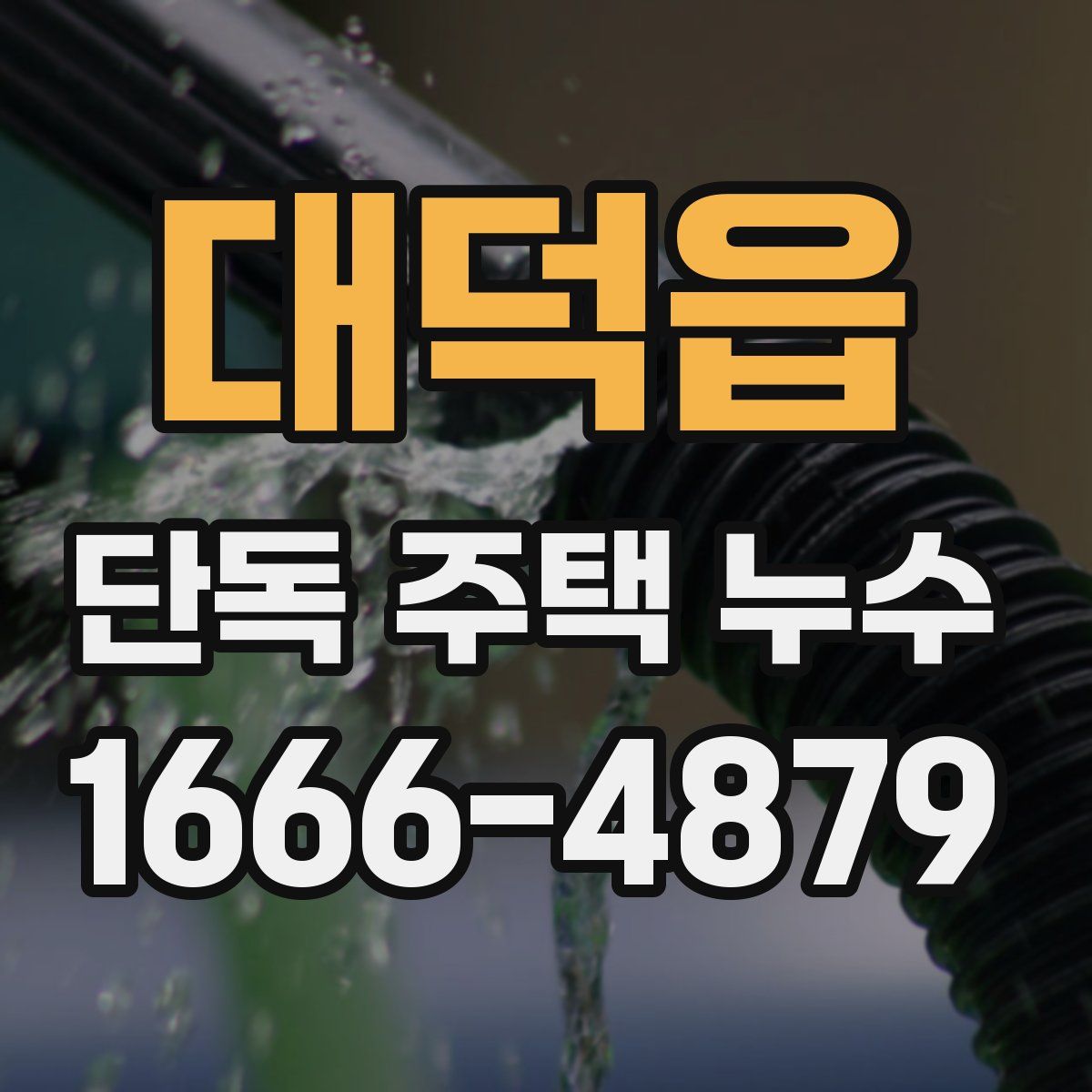 대덕읍 단독 주택 누수
