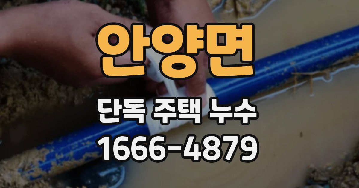 안양면 단독 주택 누수