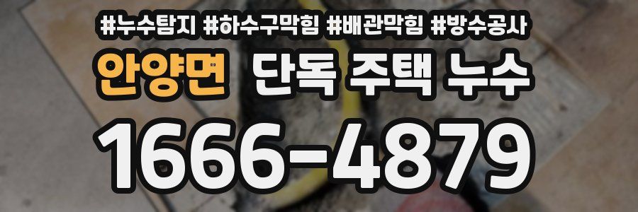 안양면 단독 주택 누수