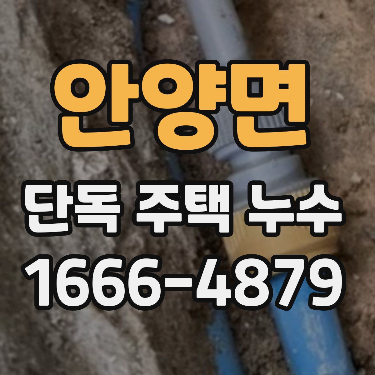 안양면 단독 주택 누수