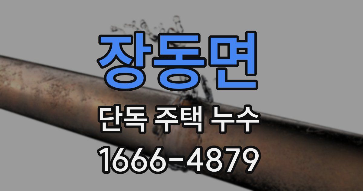 장동면 단독 주택 누수