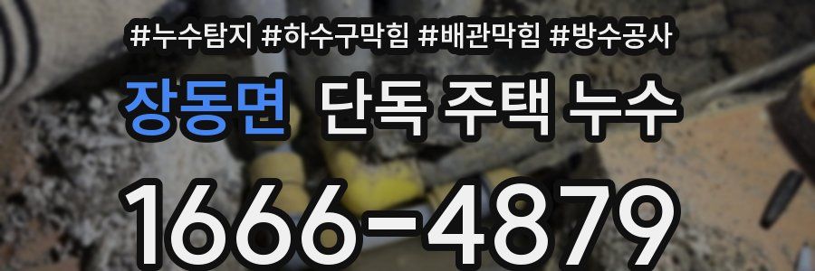 장동면 단독 주택 누수