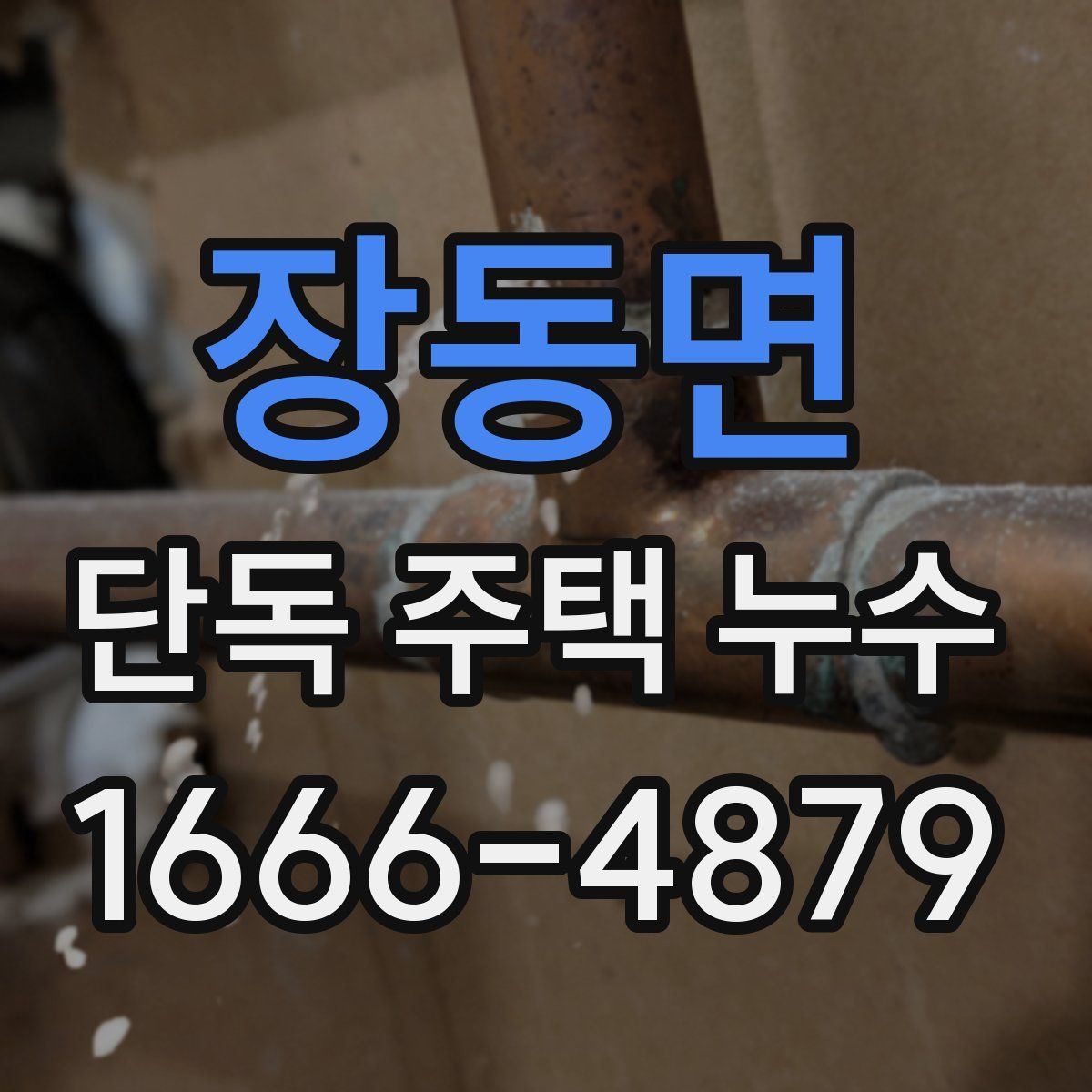 장동면 단독 주택 누수
