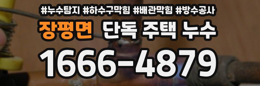 장평면 단독 주택 누수