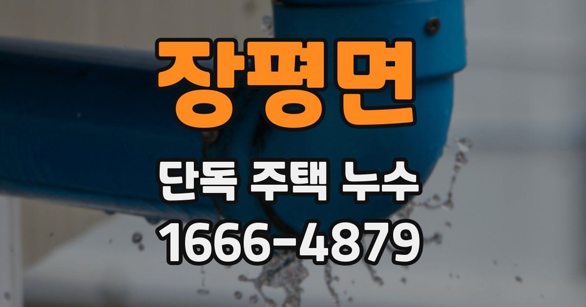 장평면 단독 주택 누수