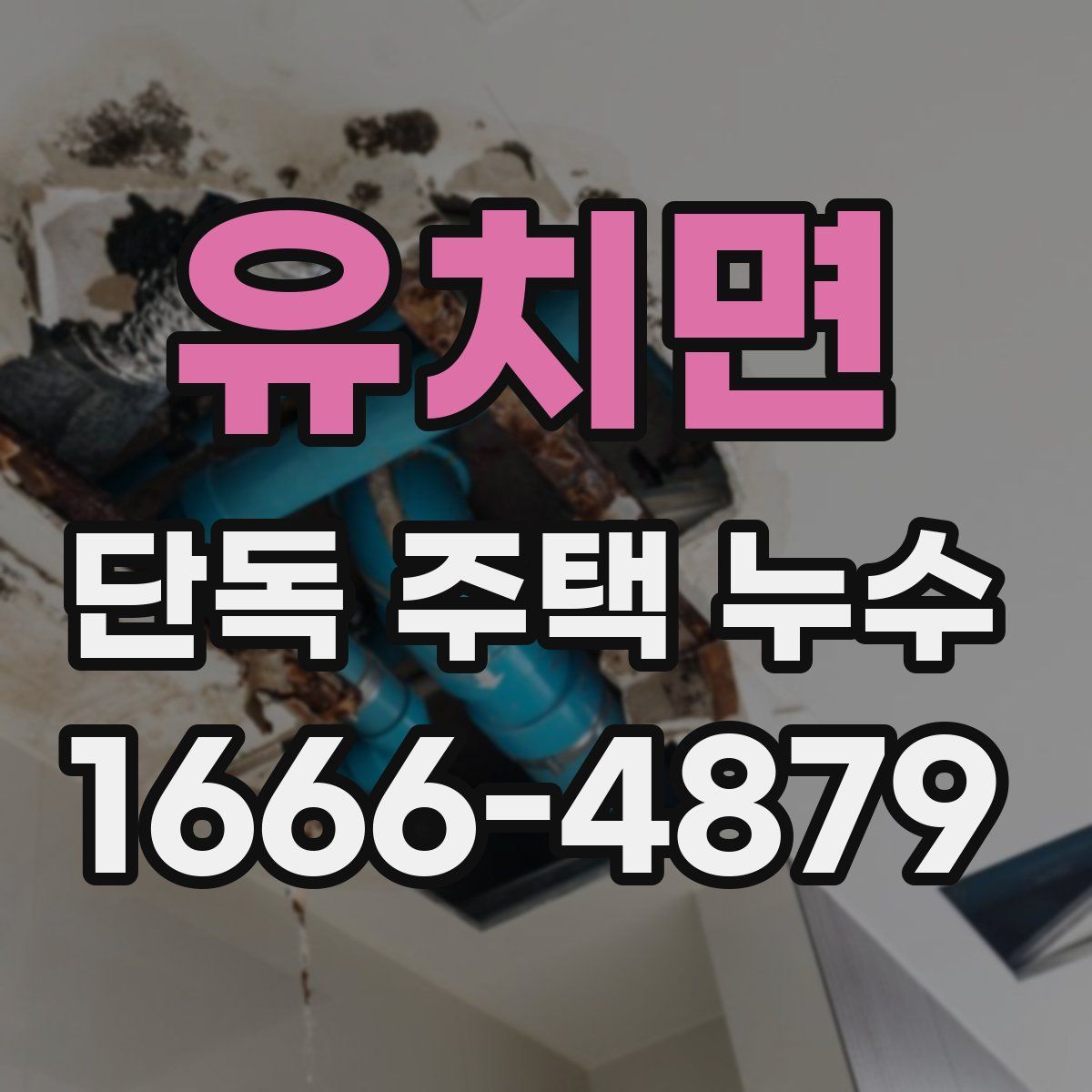 유치면 단독 주택 누수