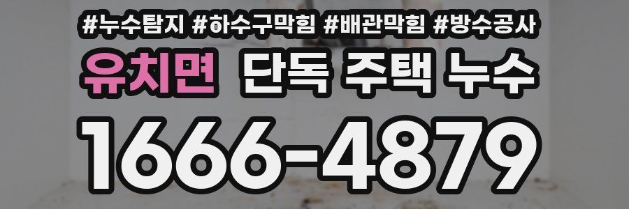 유치면 단독 주택 누수