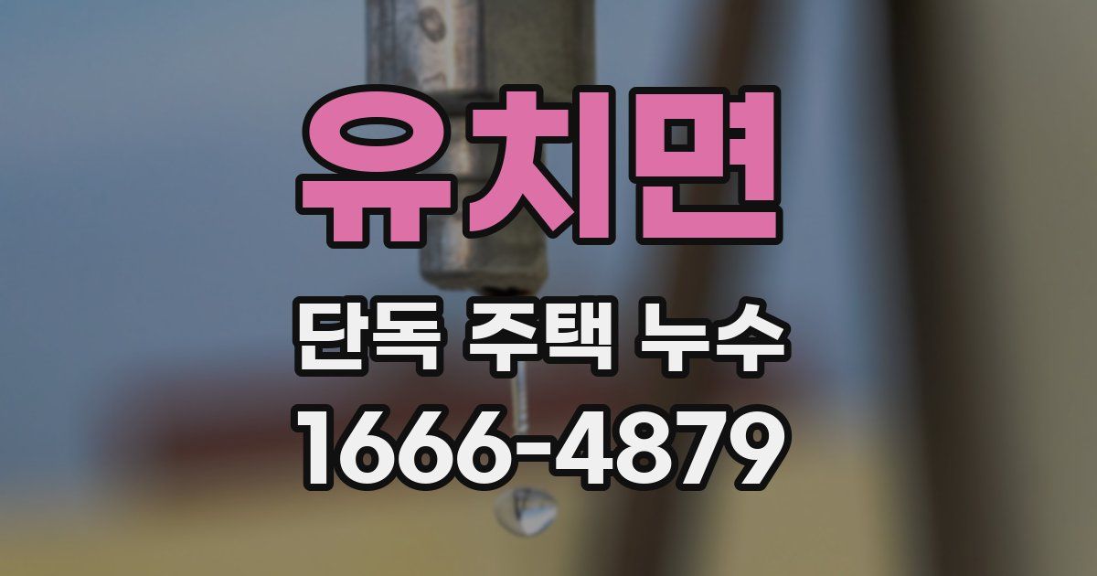 유치면 단독 주택 누수