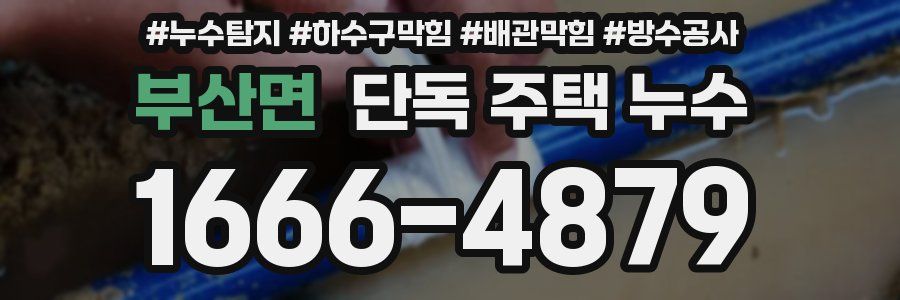 부산면 단독 주택 누수