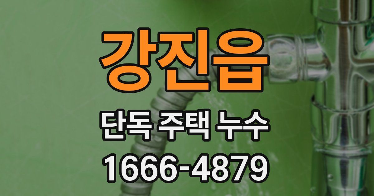 강진읍 단독 주택 누수