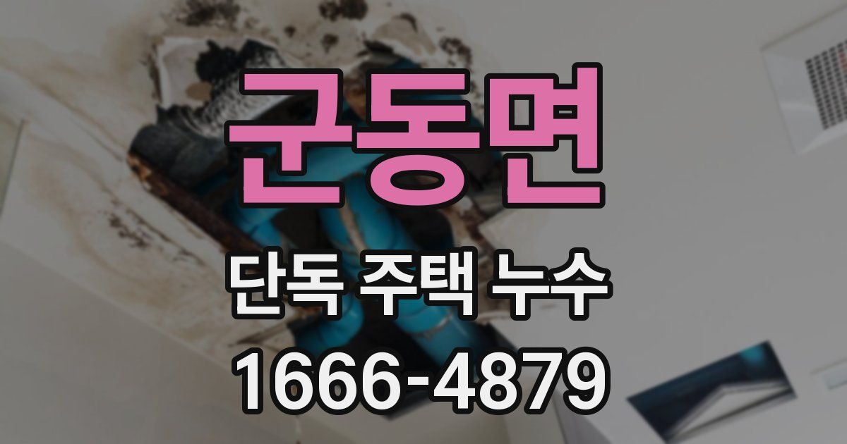 군동면 단독 주택 누수