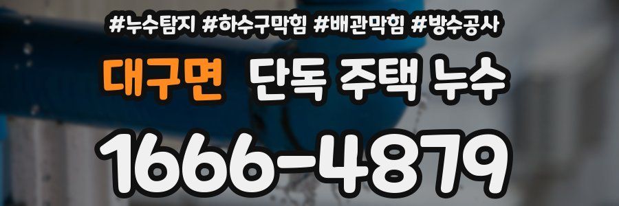 대구면 단독 주택 누수