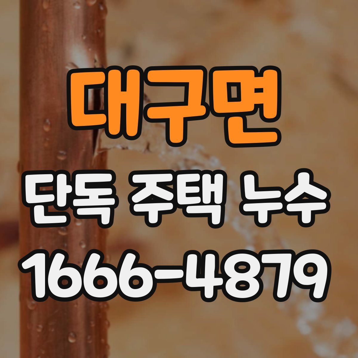대구면 단독 주택 누수