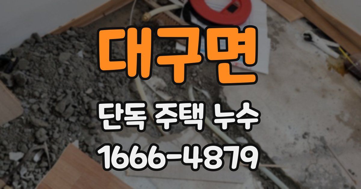 대구면 단독 주택 누수