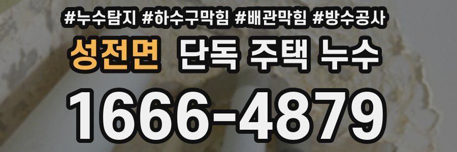 성전면 단독 주택 누수
